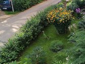 Kurortinėje ramybėje, naujai įrengtas butas - nuotraukos Nr. 11