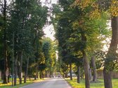 Kurortinėje ramybėje, naujai įrengtas butas - nuotraukos Nr. 12