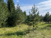 Parduodamas labai gražus žemės sklypas Utenos - nuotraukos Nr. 14