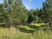 Parduodamas labai gražus žemės sklypas Utenos - nuotraukos Nr. 15