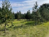 Parduodamas labai gražus žemės sklypas Utenos - nuotraukos Nr. 12