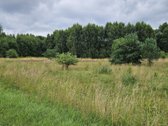 Parduodamas 1.24ha zemes ukio paskirties - nuotraukos Nr. 3