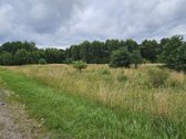 Parduodamas 1.24ha zemes ukio paskirties - nuotraukos Nr. 4