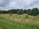 Parduodamas 1.24ha zemes ukio paskirties - nuotraukos Nr. 5