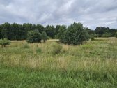 Parduodamas 1.24ha zemes ukio paskirties - nuotraukos Nr. 6