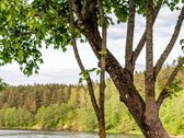 Unikalioje Vilniaus miesto vietoje, vos - nuotraukos Nr. 4