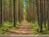 Viename patraukliausių namų kvartalų - nuotraukos Nr. 20