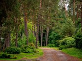 Darniai į gamtą įsiliejęs ir puikiai - nuotraukos Nr. 33