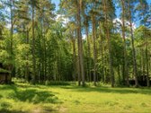 Artimoje Valakampių dalyje parduodamas namų - nuotraukos Nr. 4