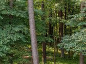 Artimoje Valakampių dalyje parduodamas namų - nuotraukos Nr. 8