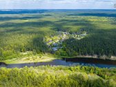 Vingiuotas pušyno keliukas veda į - nuotraukos Nr. 5