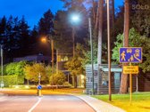Vingiuotas pušyno keliukas veda į - nuotraukos Nr. 19