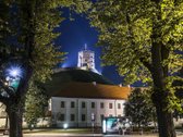 Vingiuotas pušyno keliukas veda į - nuotraukos Nr. 21