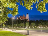 Vingiuotas pušyno keliukas veda į - nuotraukos Nr. 22