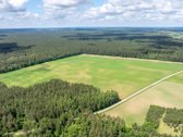 Parduodamas erdvus 5,99 ha žemės ūkio - nuotraukos Nr. 6