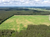 Parduodamas erdvus 5,99 ha žemės ūkio - nuotraukos Nr. 7