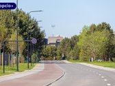 Naujos Statybos Kotedžas Pušų Apsuptyje - nuotraukos Nr. 20