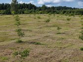 Parduodamas unikalus 4,3217 ha sklypas - nuotraukos Nr. 5