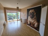 950 €/mėn. - nuotraukos Nr. 8