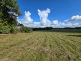 Tik 8 Km Nuo Utenos, 3 Ha Sklype, Antalgės - nuotraukos Nr. 15