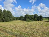 Tik 8 Km Nuo Utenos, 3 Ha Sklype, Antalgės - nuotraukos Nr. 18