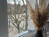 Nuomojamas moderniai ir kokybiškai įrengtas 2 - nuotraukos Nr. 11