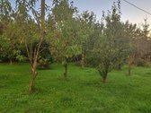 Parduodamas erdvus ir jaukus namas Paberžės - nuotraukos Nr. 27
