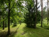 Parduodamas pasakiškoje vietoje esantis ir - nuotraukos Nr. 38
