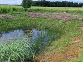 Parduodamas 19,87 aro namų valdos sklypas - nuotraukos Nr. 2