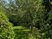 Lazdijų mieste, 20 arų sklype, Gėlyno g. 13 - nuotraukos Nr. 30