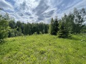 Parduodamas 3.61 Ha Sklypas Su Žaliuojančiu - nuotraukos Nr. 3
