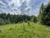 Parduodamas 3.61 Ha Sklypas Su Žaliuojančiu - nuotraukos Nr. 5