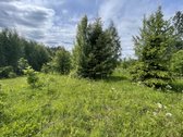 Parduodamas 3.61 Ha Sklypas Su Žaliuojančiu - nuotraukos Nr. 6