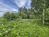 Parduodamas 3.61 Ha Sklypas Su Žaliuojančiu - nuotraukos Nr. 7