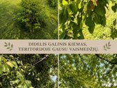 Parduodama Erdvi Namo Dalis Garliavoje ! - nuotraukos Nr. 17