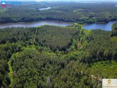 Labanoro girioje ant Lakajos upės ir Lakajos - nuotraukos Nr. 2