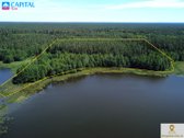 Labanoro girioje ant Lakajos upės ir Lakajos - nuotraukos Nr. 3