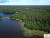 Labanoro girioje ant Lakajos upės ir Lakajos - nuotraukos Nr. 4
