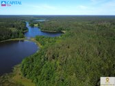 Labanoro girioje ant Lakajos upės ir Lakajos - nuotraukos Nr. 5
