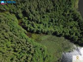 Labanoro girioje ant Lakajos upės ir Lakajos - nuotraukos Nr. 8