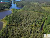 Labanoro girioje ant Lakajos upės ir Lakajos - nuotraukos Nr. 9