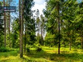 Modernus Vieno Aukšto Namas Su 50 Arų Nuosavu - nuotraukos Nr. 36