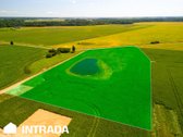 Investicinis Sklypų Masyvas Pakamoriuose – - nuotraukos Nr. 9