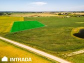 Investicinis Sklypų Masyvas Pakamoriuose – - nuotraukos Nr. 15