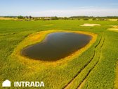 Investicinis Sklypų Masyvas Pakamoriuose – - nuotraukos Nr. 16