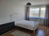 Išnuomojamas 2 kambarių butas, renuovuotame - nuotraukos Nr. 4