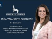 Erdvė, kurios pasiilgsta miestas – - nuotraukos Nr. 28