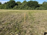 Vienbučių-dvibučių namų valdos sklypas 36 a. - nuotraukos Nr. 2