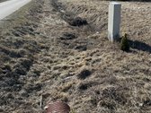 Vienbučių-dvibučių namų valdos sklypas 36 a. - nuotraukos Nr. 10