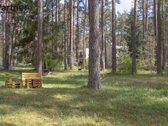 Parduodamas šviesus ir jaukus dviejų kambarių - nuotraukos Nr. 13